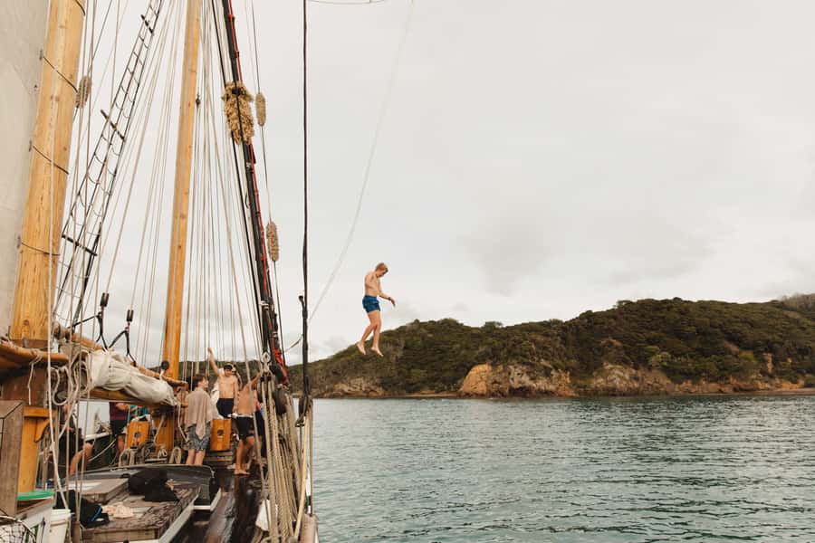 Bay of Islands: Full-Day Tall Ship Sailing Excursion - The crew and the feel on board