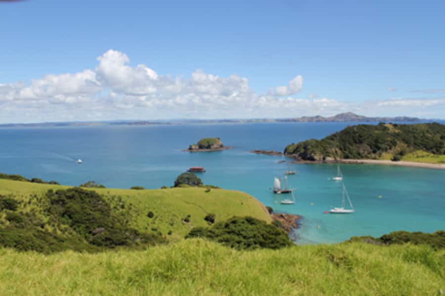 Bay of Islands: Full-Day Tall Ship Sailing Excursion - What to bring for a comfortable day