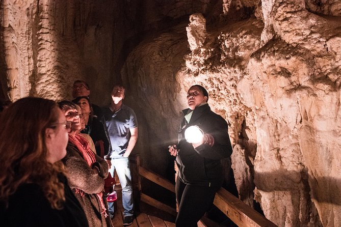 Bay of Islands Glow Worm Caves & Scenic Shore Excursion - Haruru Falls gives the day an easy opening