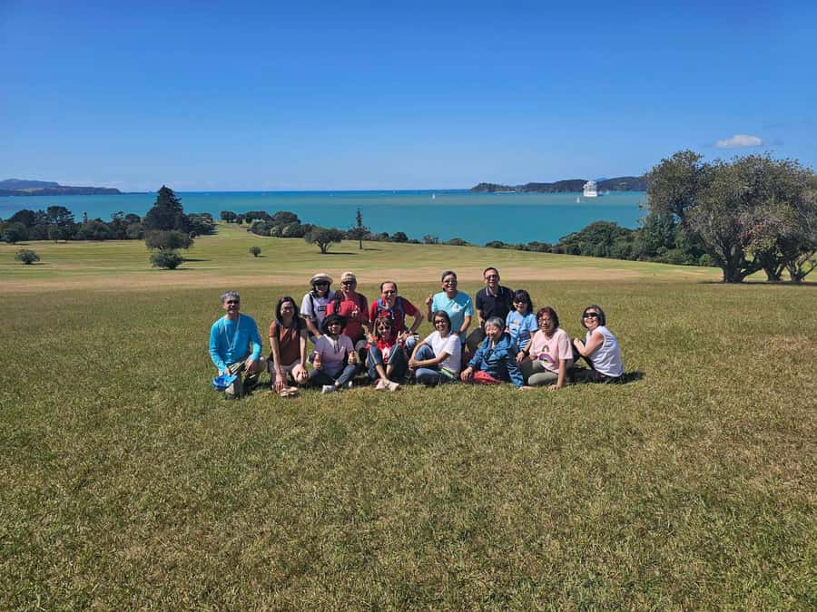 Bay of Islands - Mini Tour (75-90 mins) - Opua Bay and Marina: the best early photo stop