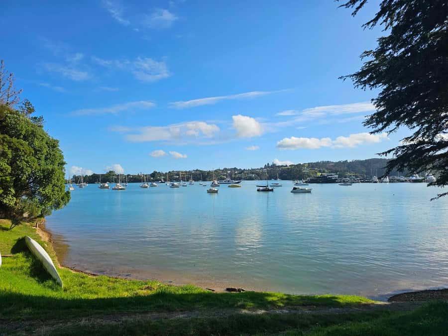 Bay of Islands - Mini Tour (75-90 mins) - Waitangi Lookout and the final wide view