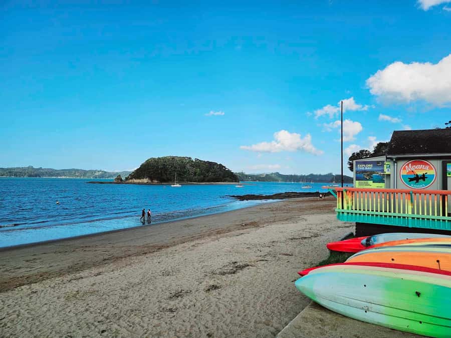 Bay of Islands - Mini Tour (75-90 mins) - What $44 buys you