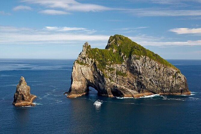 Bay of Islands Private Tour - Key points at a glance