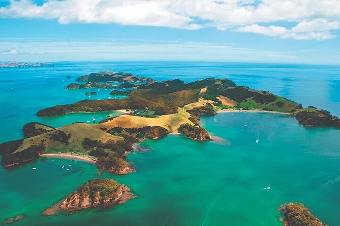 Bay of Islands Private Tour - Why this Auckland day trip works
