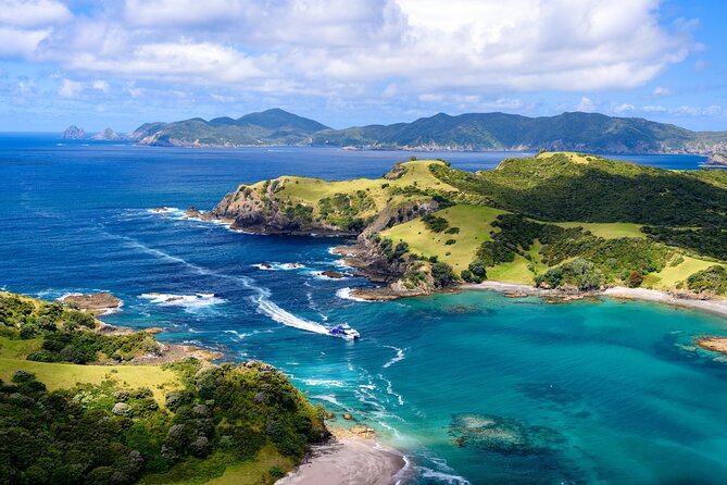 Bay of Islands Private Tour - Who should book this Bay of Islands tour