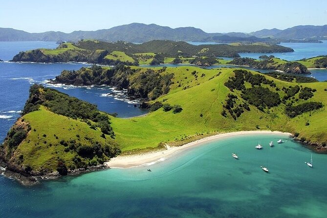 Bay of Islands Private Tour - The three-hour road north from Auckland