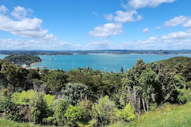 Bay of Islands Scenic Tour - Passing the Treaty Grounds with local context