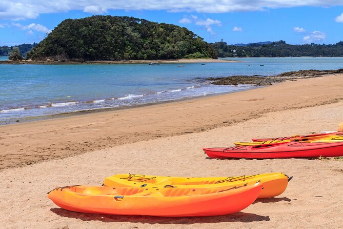 Bay of Islands Scenic Tour - Haruru Falls and the short photo stop