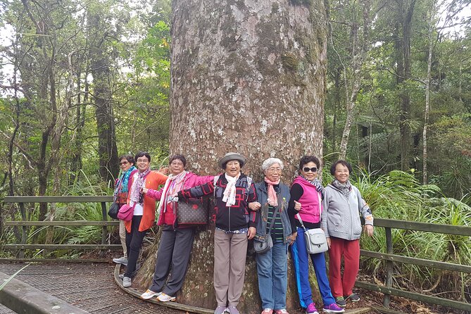 Bay of Islands Shore Excursion: Puketi Rainforest Guided Walk - Birdwatching without false promises