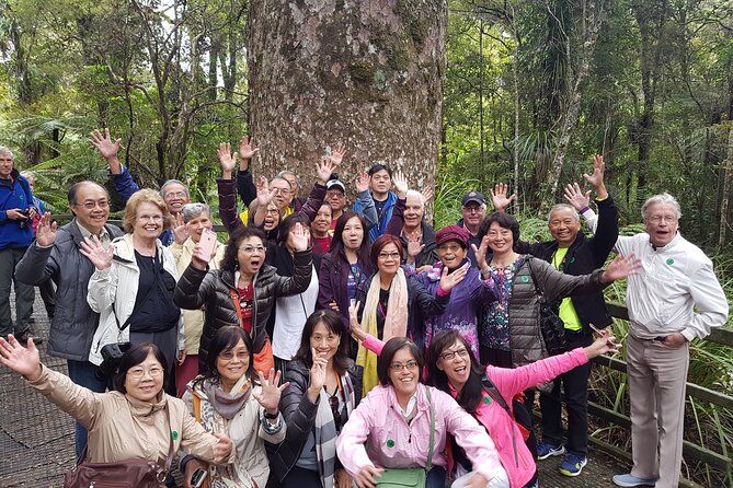 Bay of Islands Shore Excursion: Puketi Rainforest Guided Walk - Group size and guide quality
