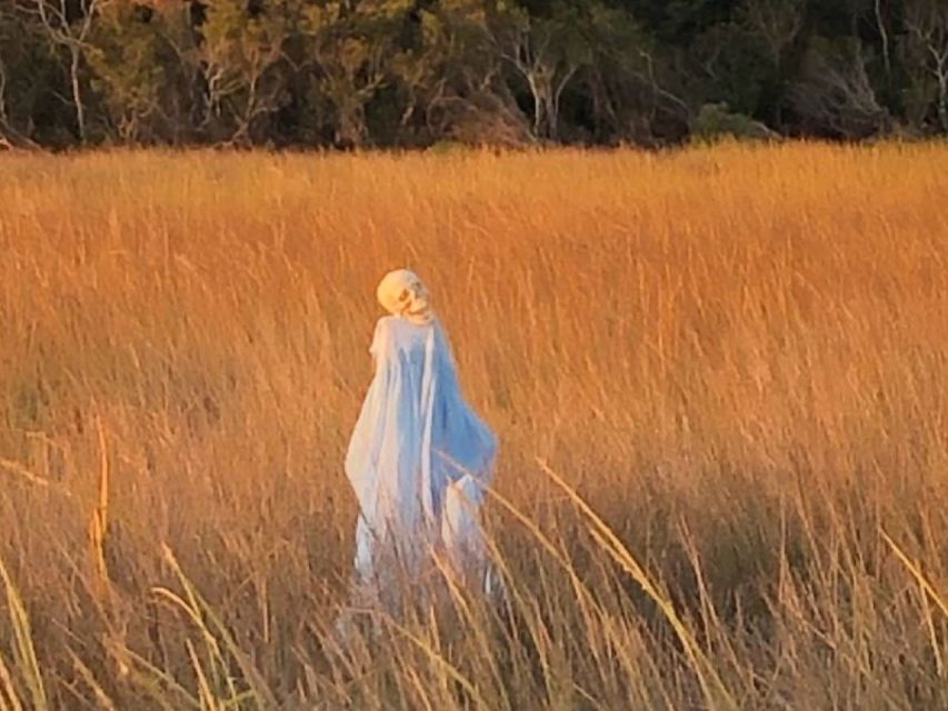Bay Saint Louis, MS: The Haunted Bayou Cruise - Key points to know before you go