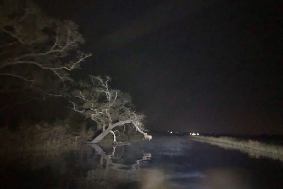 Bay Saint Louis, MS: The Haunted Bayou Cruise - What $83 buys you