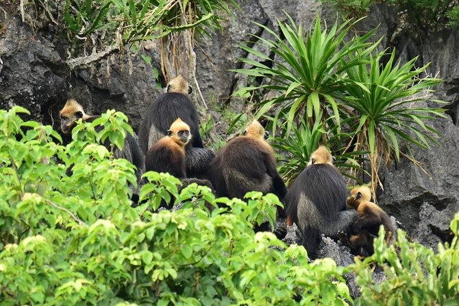 BEST UNIQUE 3-Day Halong Bay Cruise, Lan Ha & Cat Ba Island - Crossing to Cat Ba Island on day two