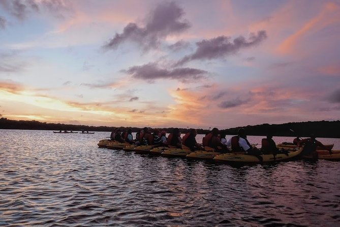Bio Bay Kayak Tour in Fajardo - The guides make a real difference