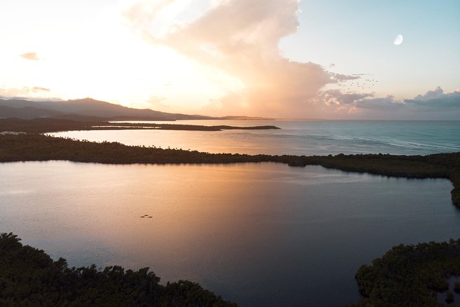 Bio Bay Kayak Tour in Fajardo - Is the $66.90 price fair?
