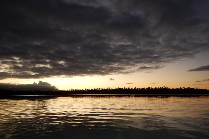 Bio Bay Kayak Tour in Fajardo - Who should choose the later departure?