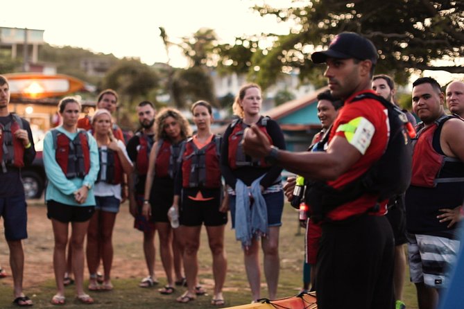 Bio Bay Kayak Tour in Fajardo - What the bioluminescent water can really look like