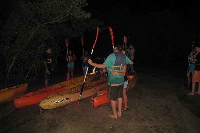 Bioluminescent Bay Kayak Trip from Vieques - Key points before you book