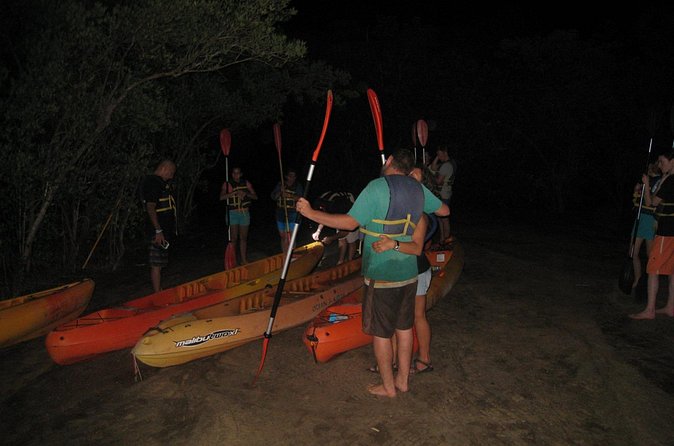 Bioluminescent Bay Kayak Trip from Vieques - What the $65 price really includes