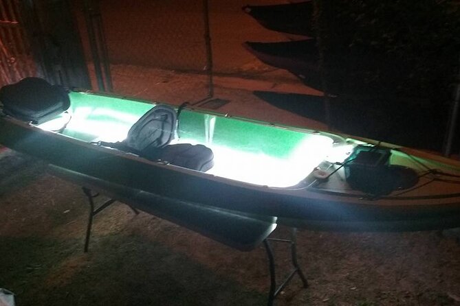 Bioluminescent Bay Kayak Trip from Vieques - Who will enjoy this most