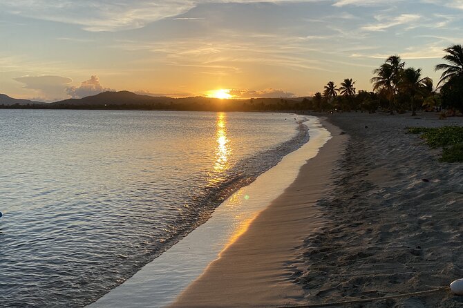 Bioluminescent Boat Tour in Mosquito Bay, Vieques - Why Mosquito Bay glows at night