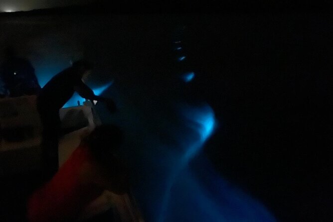 Bioluminescent Boat Tour in Mosquito Bay, Vieques - Boat versus kayak: choosing the right view