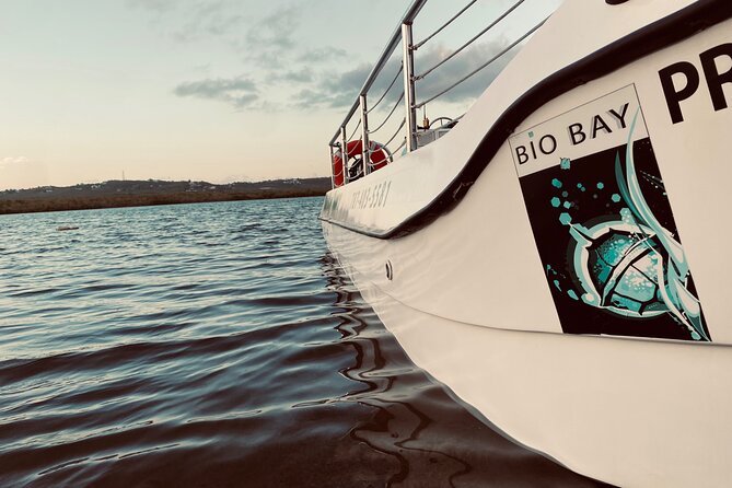 Bioluminescent Boat Tour in Mosquito Bay, Vieques - Is the $100 price fair?
