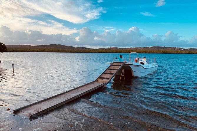 Bioluminescent Boat Tour in Mosquito Bay, Vieques - Weather, moonlight, and cancellation risk