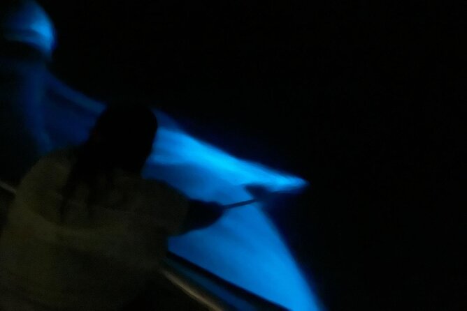 Bioluminescent Boat Tour in Mosquito Bay, Vieques - Who will enjoy this Vieques night tour?