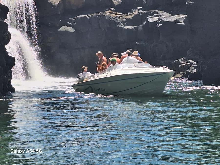 Blue bay: boat trip for ile au cerf (5 islands, barbecue) - Blue Bay starts the day with fish and coral