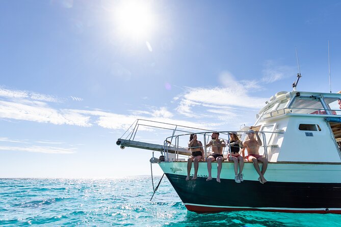 Boat Tour 2 hour in Palma Bay - What this Palma Bay cruise is really like