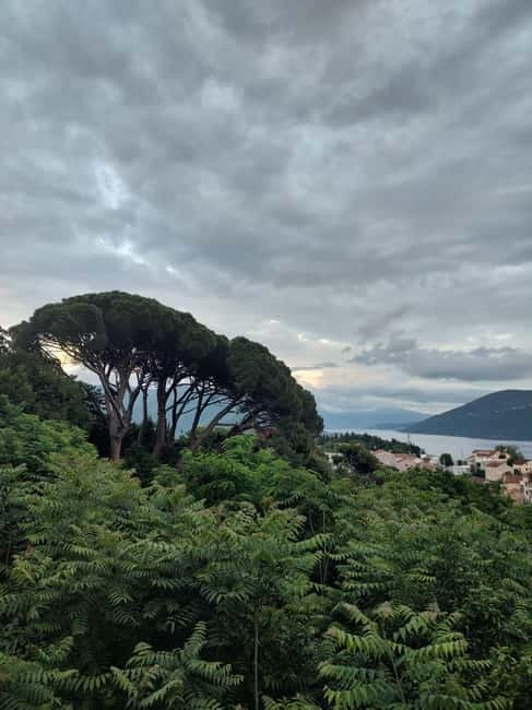 Boka Bay private guided tour to Kotor, Perast and Our Lady - What Miodrag adds to the day