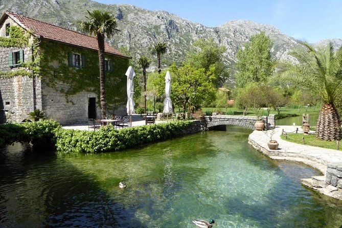Boka Bay tour by car or speedboat (Private tour) - What the driver adds to the day