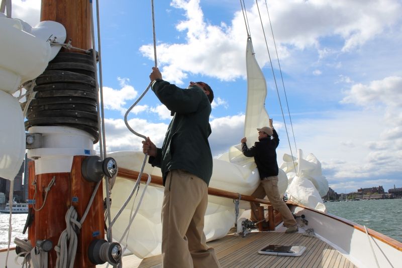 Boston: Downtown Harbor Sailing Cruise - Booking details that matter