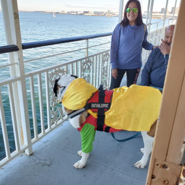 Boston: Scenic Harbor Cruise (Dog-Friendly) - A good outing for dogs and families