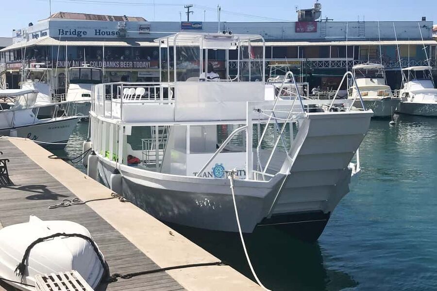 Bridgetown: Carlisle Bay Turtle and Shipwreck Boat Cruise - Searching for turtles, rays, and tropical fish