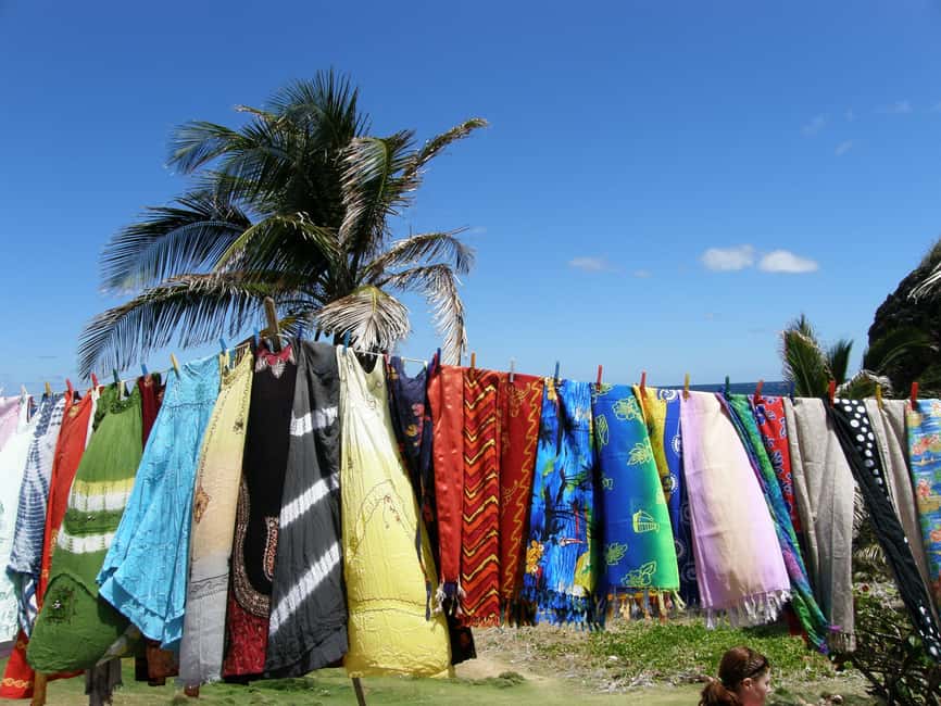 Bridgetown: Wildlife Reserve Tour and Carlisle Bay Cruise - What the guide adds to the day