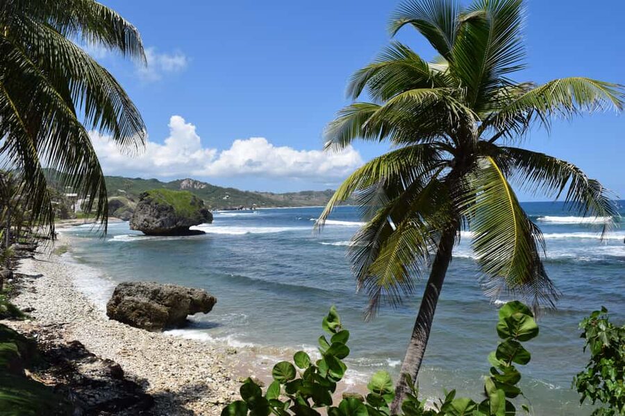 Bridgetown: Wildlife Reserve Tour and Carlisle Bay Cruise - Who will enjoy this Barbados tour most?