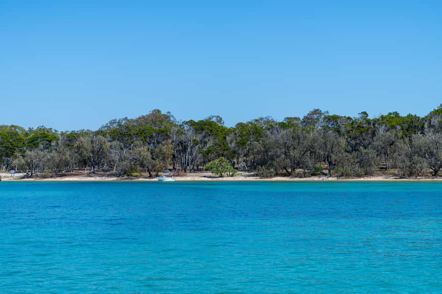Brisbane: Half-Day Moreton Bay Sailing Cruise with Antipasto - FAQ