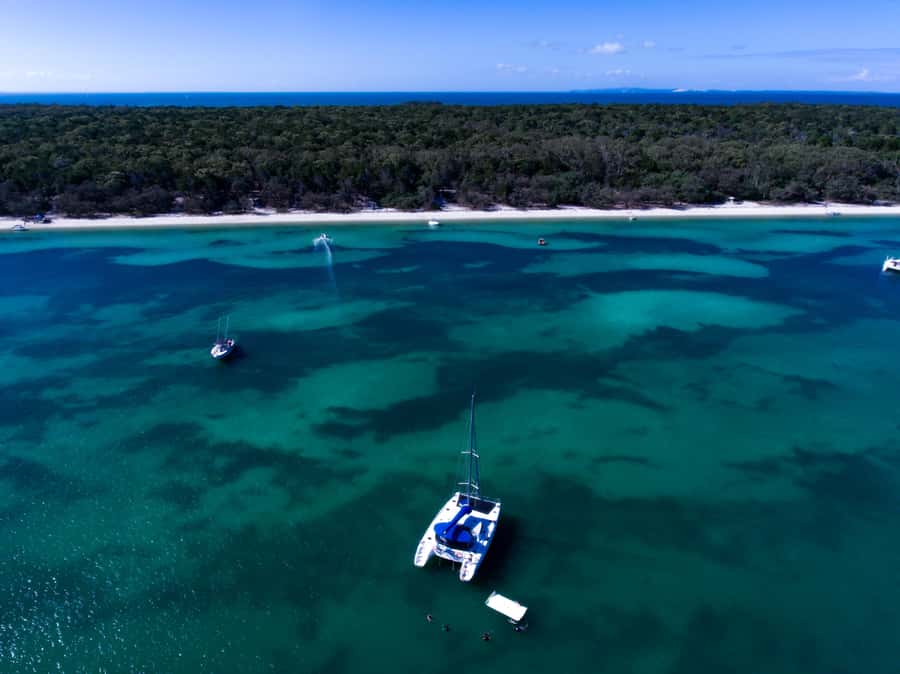 Brisbane: Half-Day Moreton Bay Sailing Cruise with Antipasto - Wildlife Watching Across the Marine Park