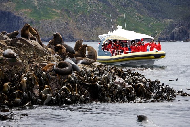 Bruny Island Wilderness Cruise from Adventure Bay, Bruny Island - Key points to know before you book