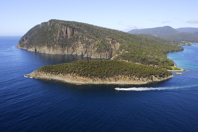 Bruny Island Wilderness Cruise from Adventure Bay, Bruny Island - Sea caves, cliffs, and blowholes up close