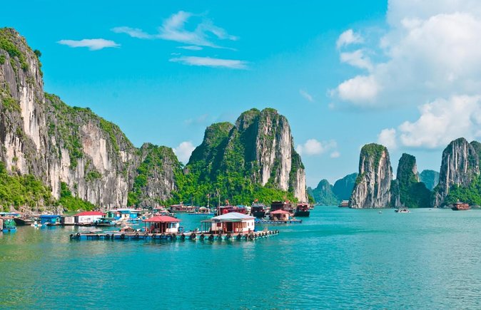 Buffet on Paradise Delight Dining Cruise Halong Bay Tour - Key points to know before booking