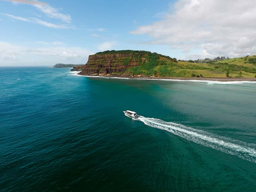 Byron Bay: Cruise with Dolphins Tour - Is $67 good value for 90 minutes?