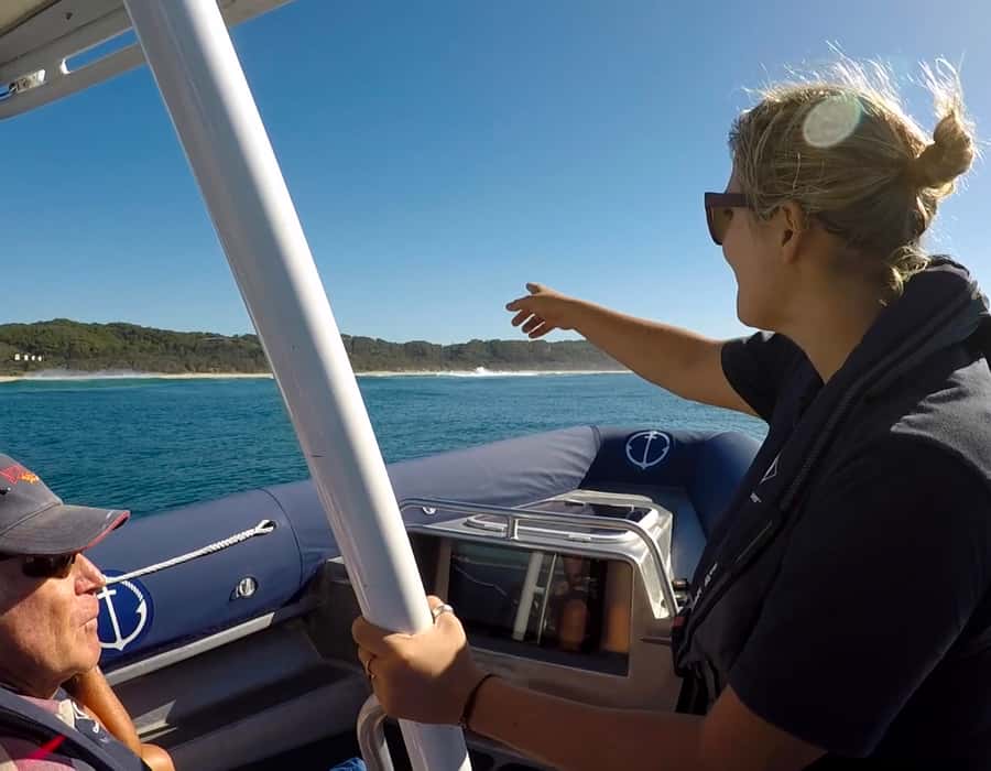 Byron Bay: Cruise with Dolphins Tour - Timing, weather, and border details