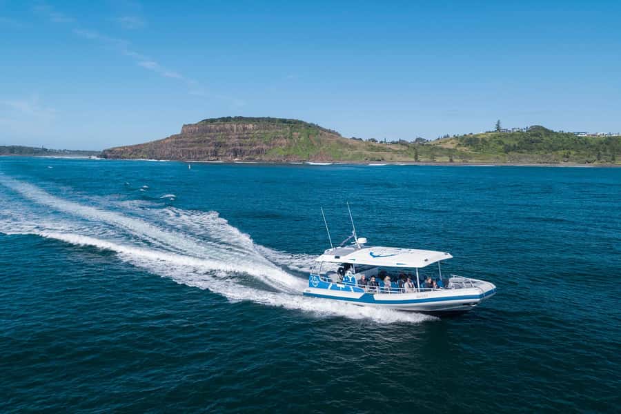 Byron Bay: Whale Watching Cruise with a Marine Biologist - Choosing among the four departure times
