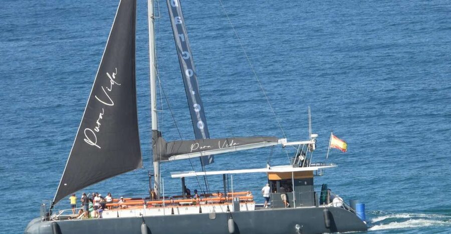 Cádiz: Bay of Cádiz Catamaran Tour with Host - Key points to know before you book