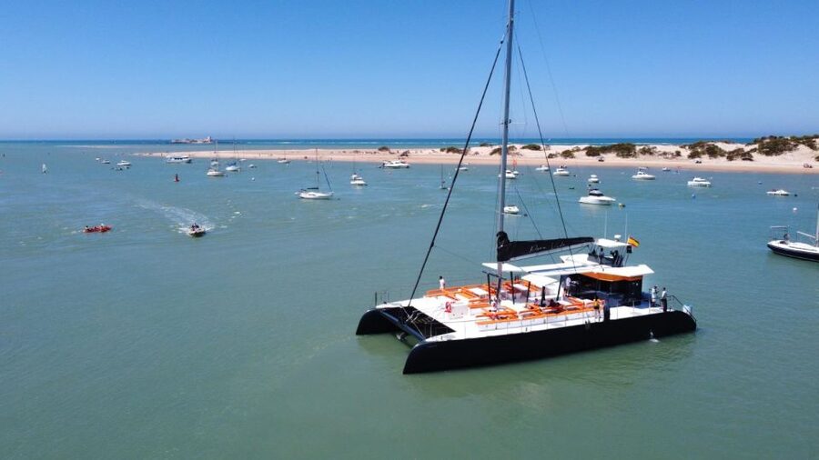 Cádiz: Bay of Cádiz Catamaran Tour with Host - Starting at Cádiz Port near Plaza Sevilla