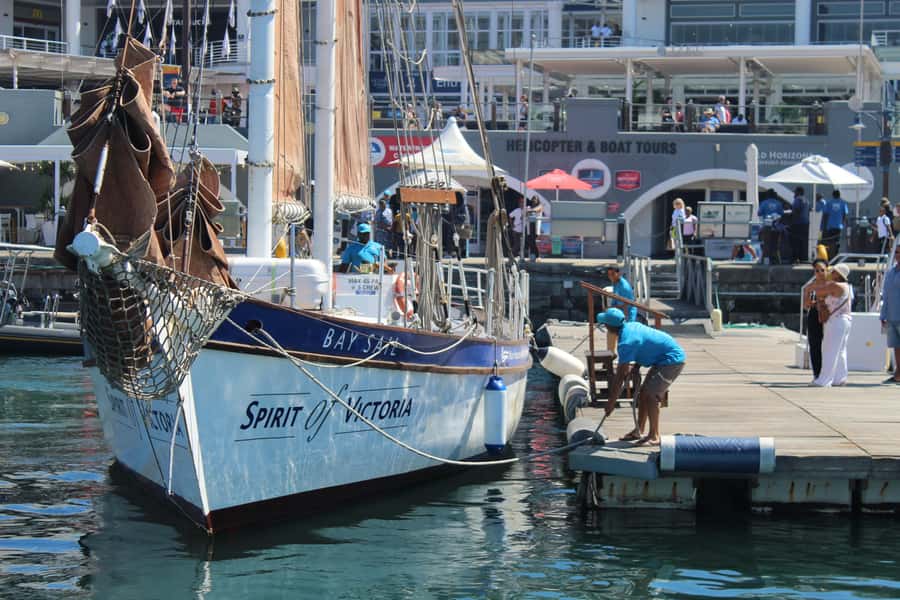 Cape Town: 1 Hour Table Bay Sailing Tour - Key things to know before sailing