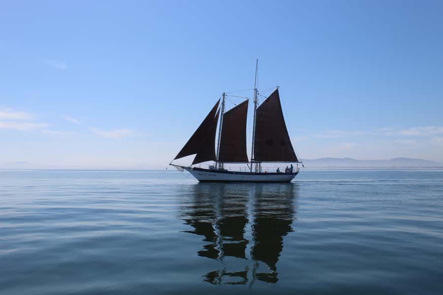 Cape Town: 1 Hour Table Bay Sailing Tour - The harbor exit and the first views